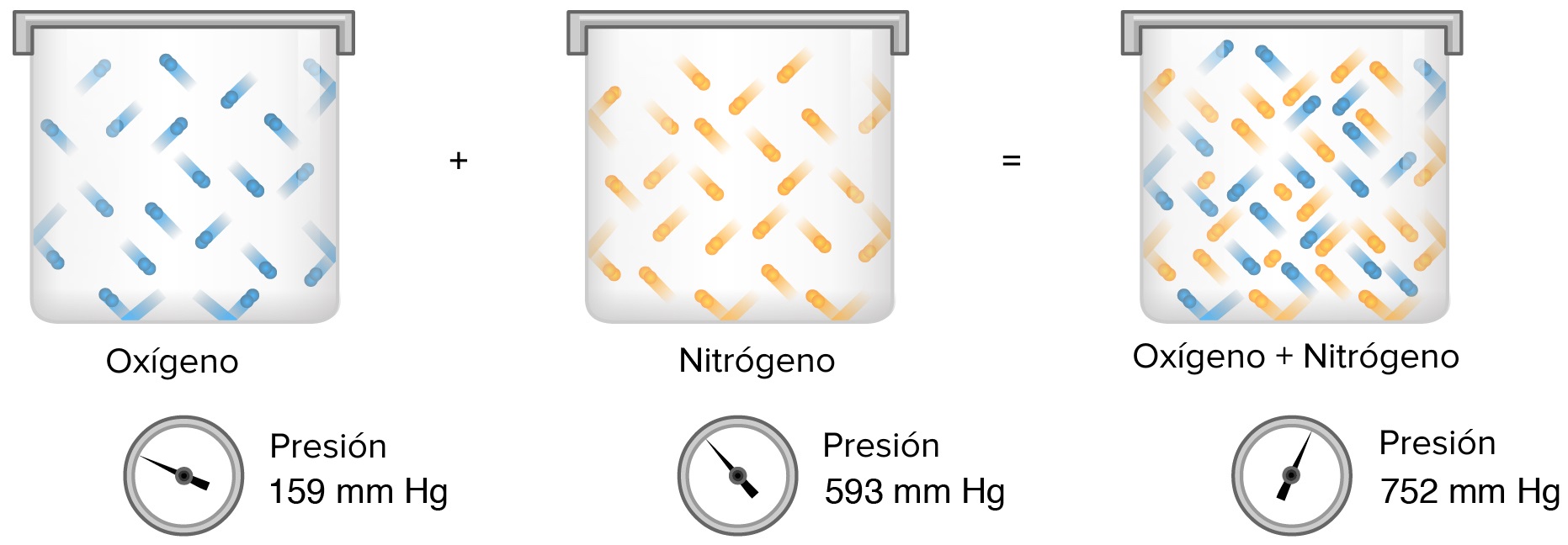 De izquierda a derecha: un recipiente con gas oxígeno a 159 mm Hg, combinado con un recipiente de tamaño idéntico con gas nitrógeno a 593 mm Hg resultará en el mismo recipiente con una mezcla de ambos gases y una presión total de 752 mm Hg. 