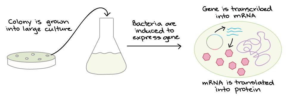 transforming principle definition