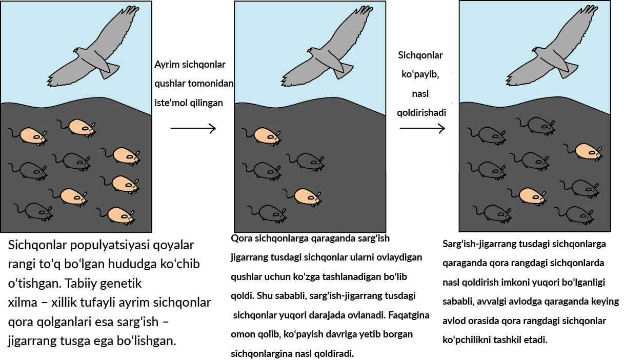 Porno videolarni onlayn tomosha qiling: Ogay otasi onasi yoqligida qizini sikdi