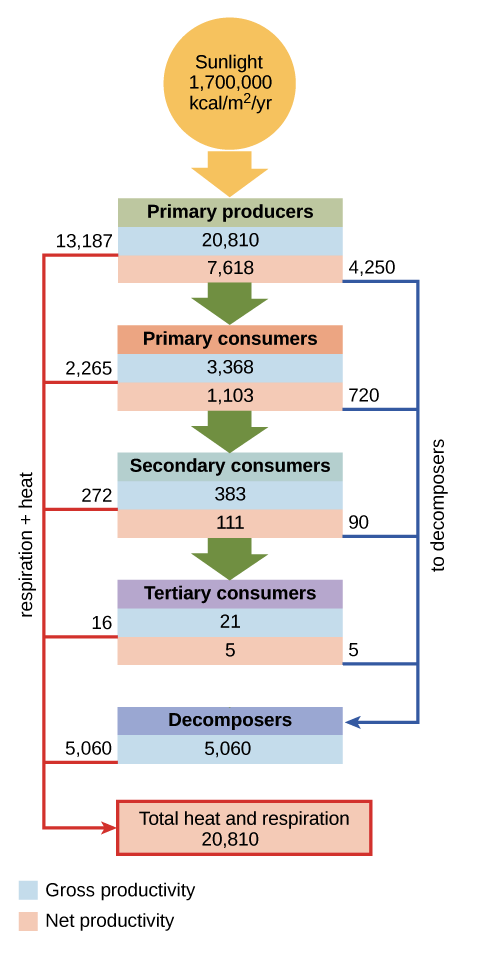 World Energy Flow Chart