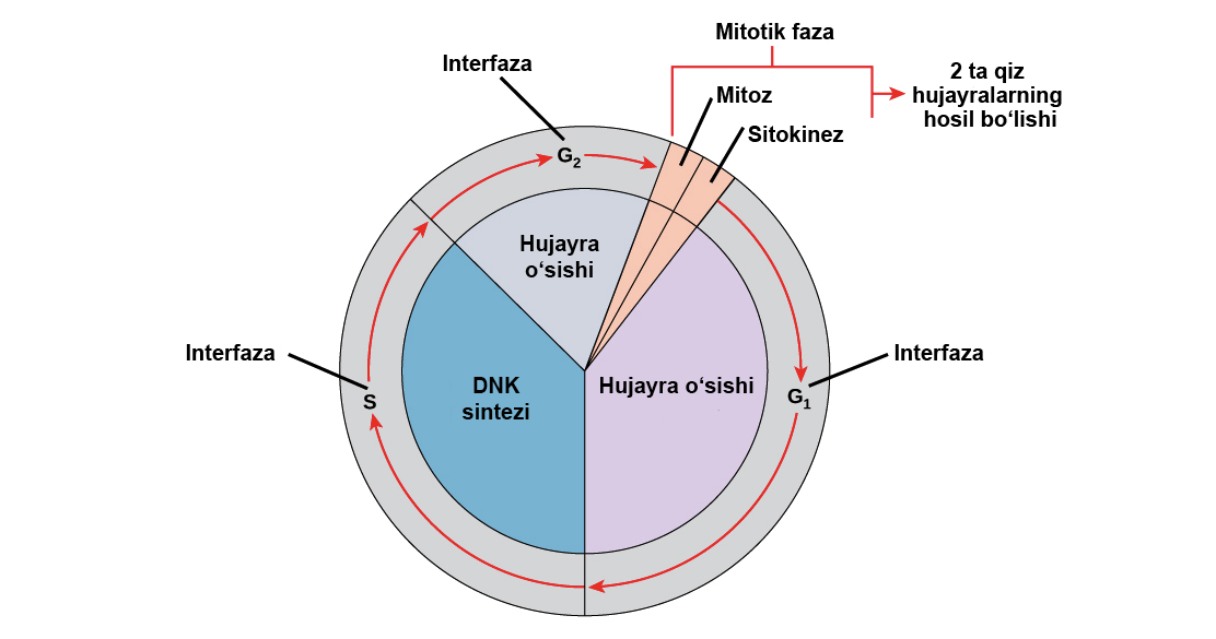 Qul bekasining anusini yalaydi Tabiatda yoshlar erotikasi