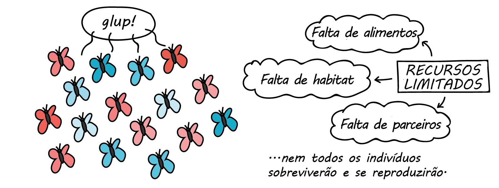 Um diagrama com uma caixa que diz: recursos limitados. Setas apontam para fora da caixa em direção a balões com os textos: falta de alimentos, falta de habitat e falta de parceiros. O texto abaixo disso diz: …nem todos os indivíduos sobreviverão e se reproduzirão. Há uma imagem de um grupo de 16 borboletas com asas em vários tons de azul e de vermelho. Um balão contém o texto glup! que vem de 4 das borboletas.