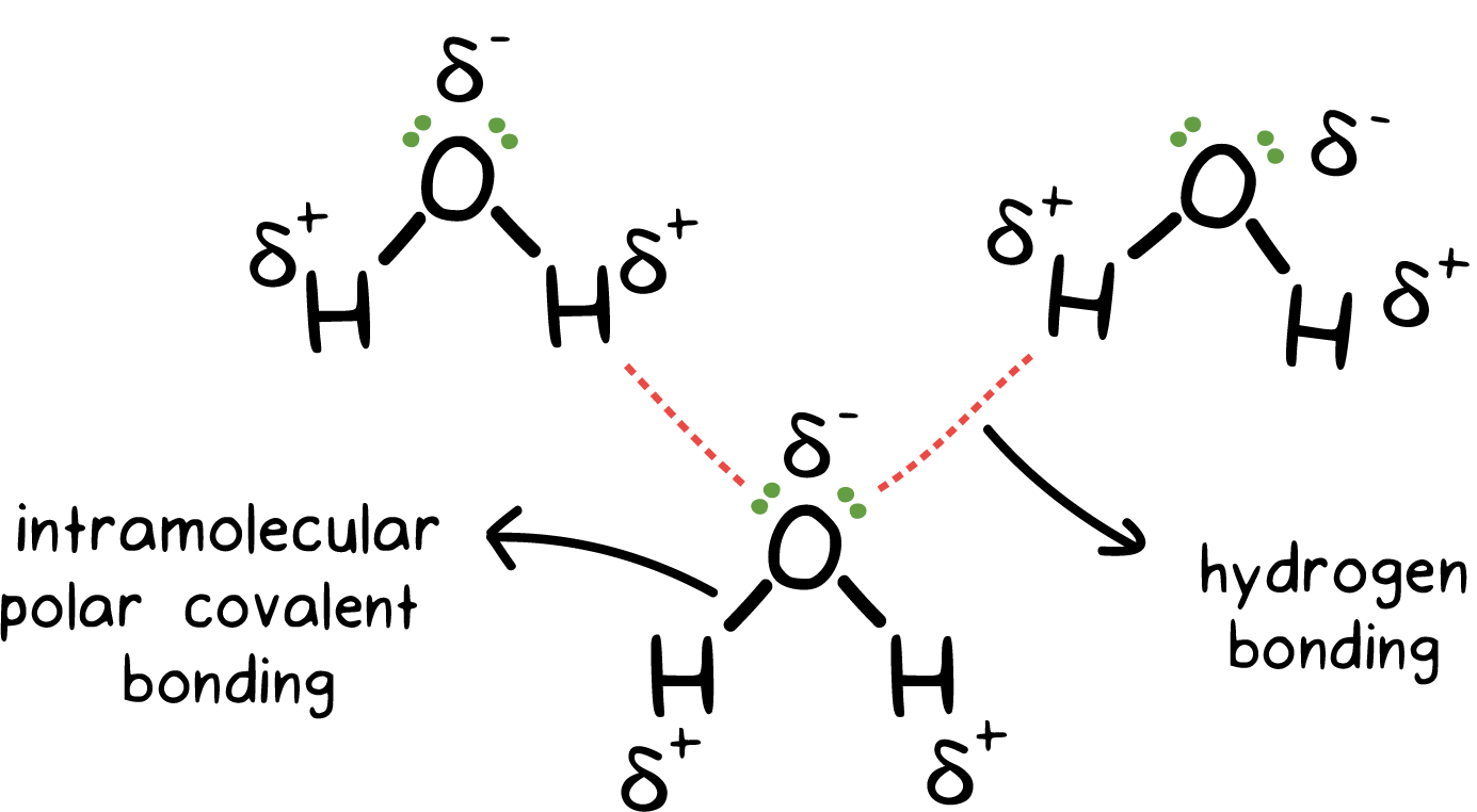 h2s-intermolecular-forces-strong-or-weak-techiescientist