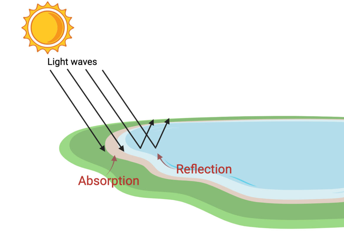 Absorption and reflection (article) | Waves | Khan Academy