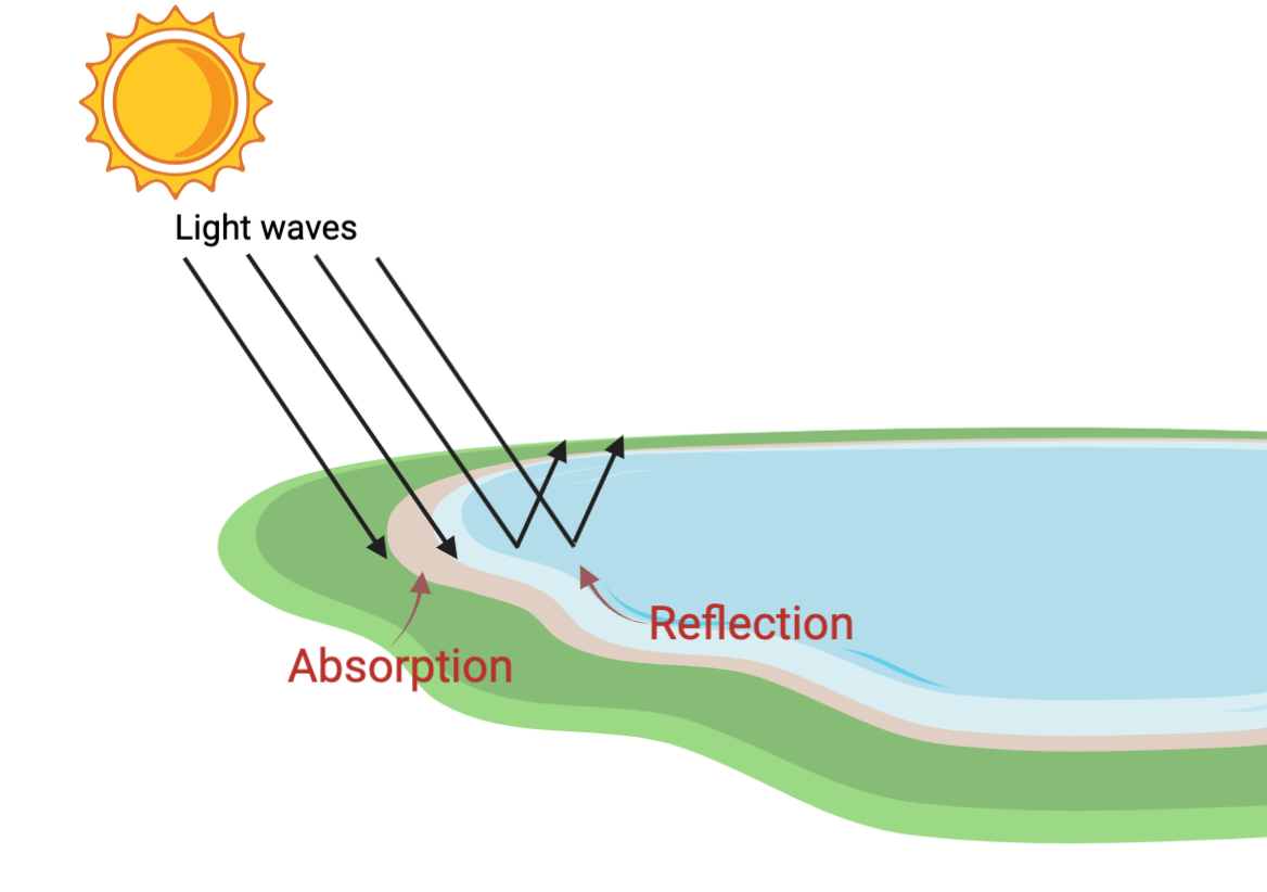 Absorption Of Light