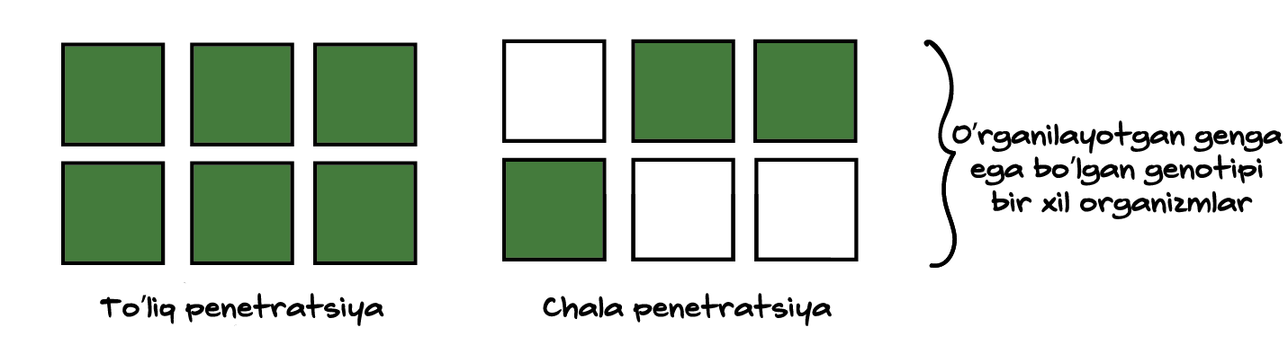 Orenburgda tojik er-xotin bilan yashirin kamera jinsiy aloqa