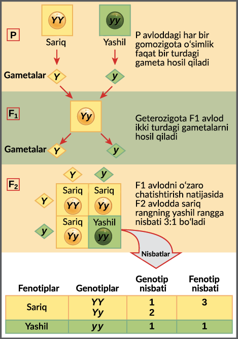 Anastasiya Samburskaya bilan porno