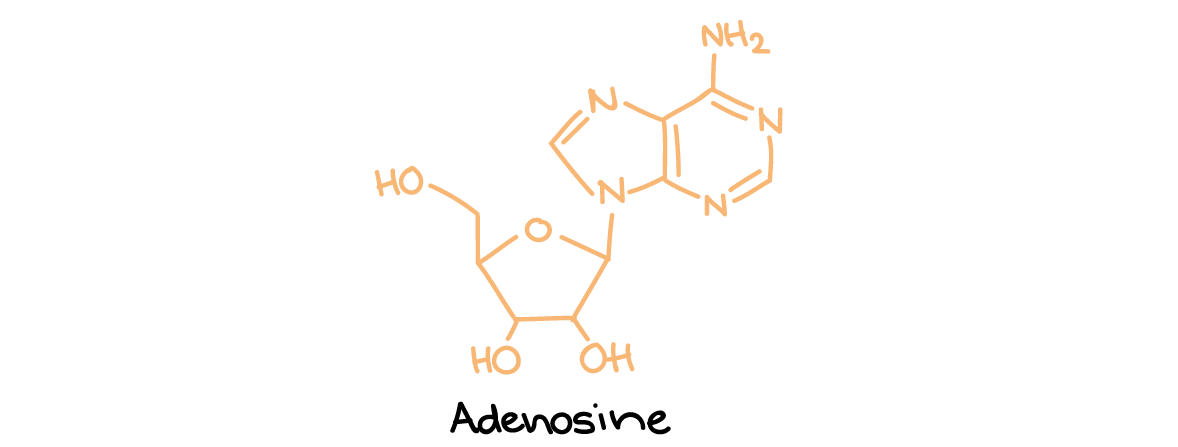 Adenosine structure.