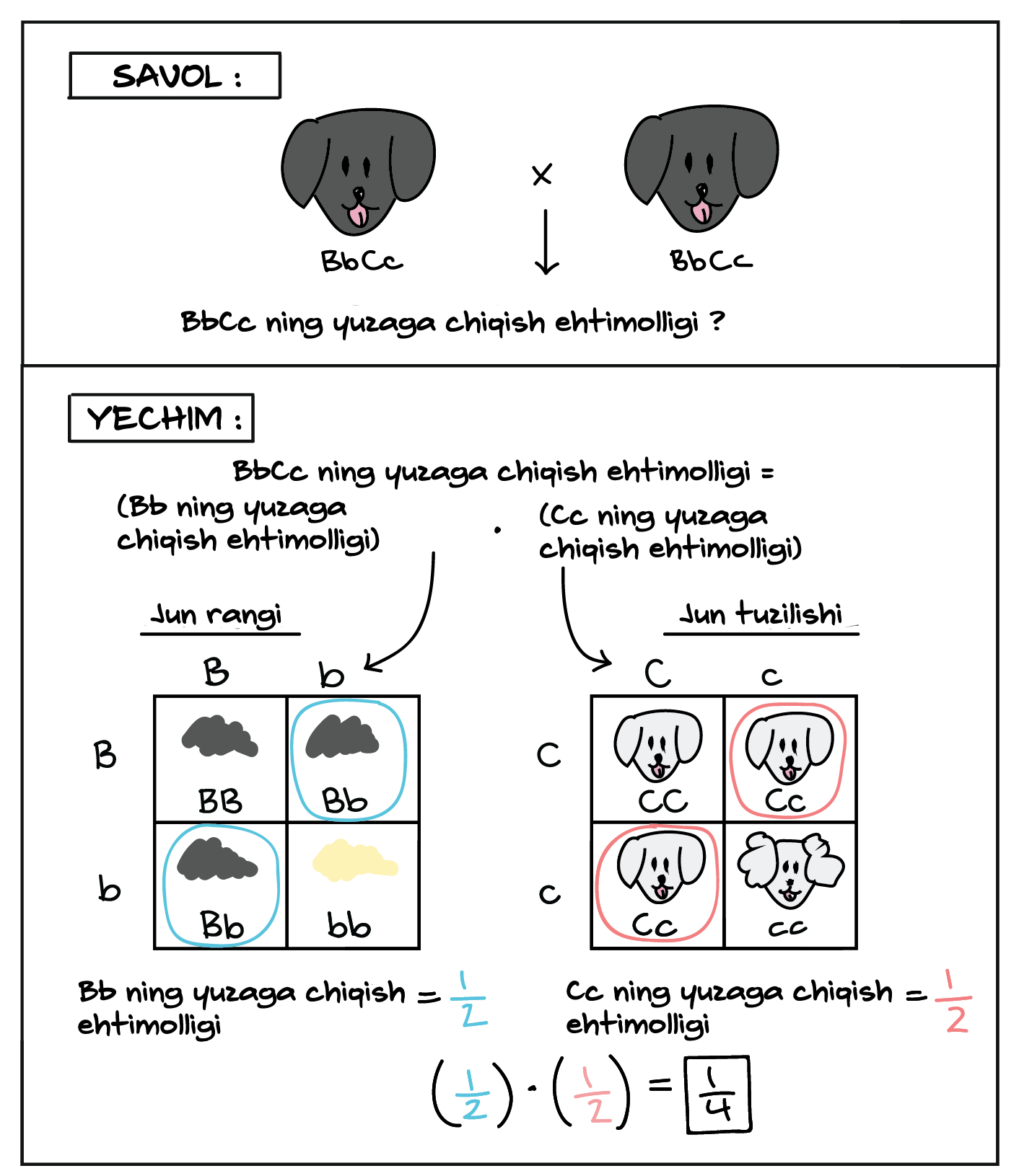 Kamon bilan sexy eshak rasmlari