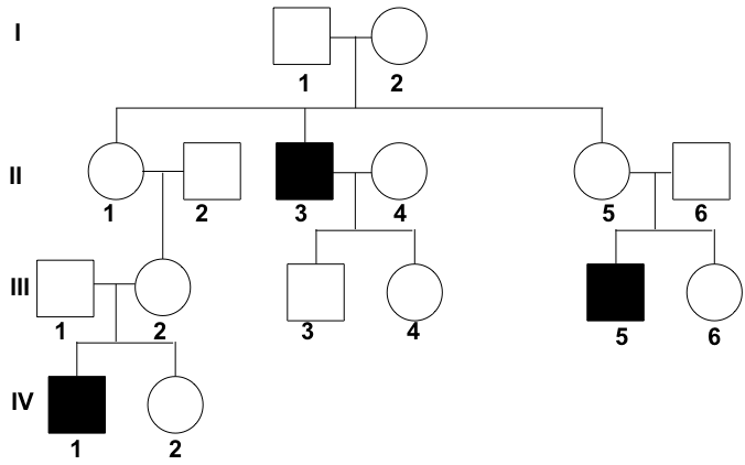 Pedigree Chart Disease