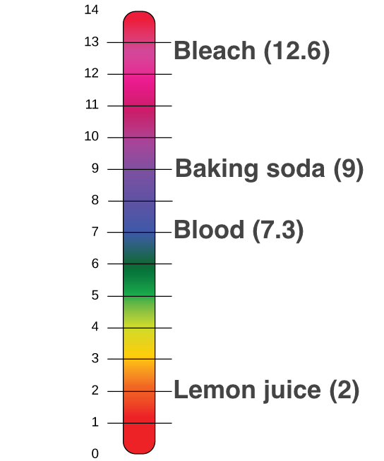 ph level of examples and their bases