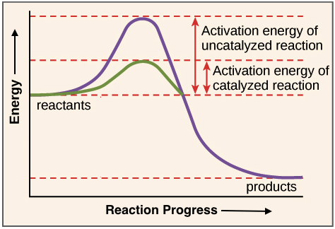 enzyme substrate graph