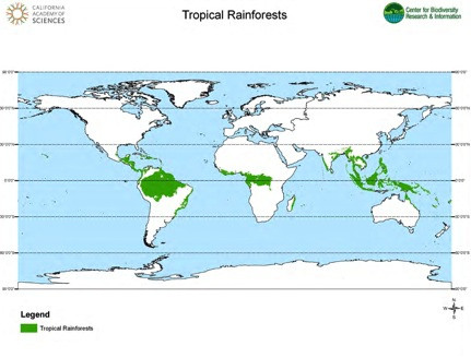 Rainforests Map