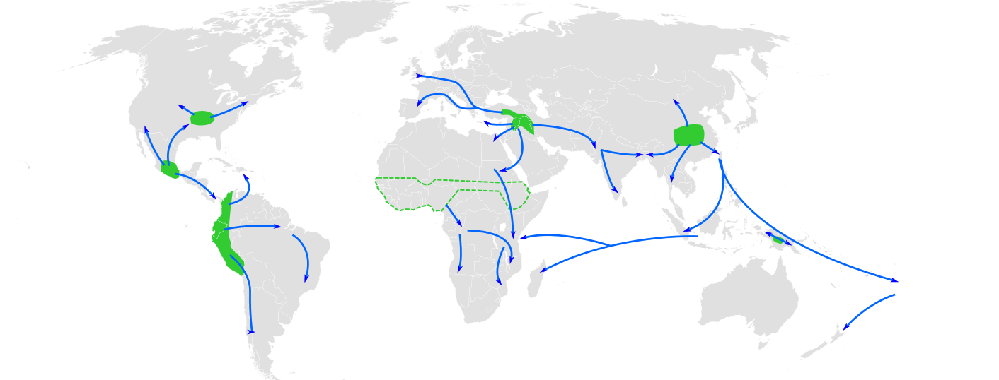 Gray world map showing probable areas of independent development of agriculture, in green, in the Middle East, sub-Saharan Africa, China, Peru, Mexico, and North America. Possible routes of diffusion across the globe are drawn in blue.