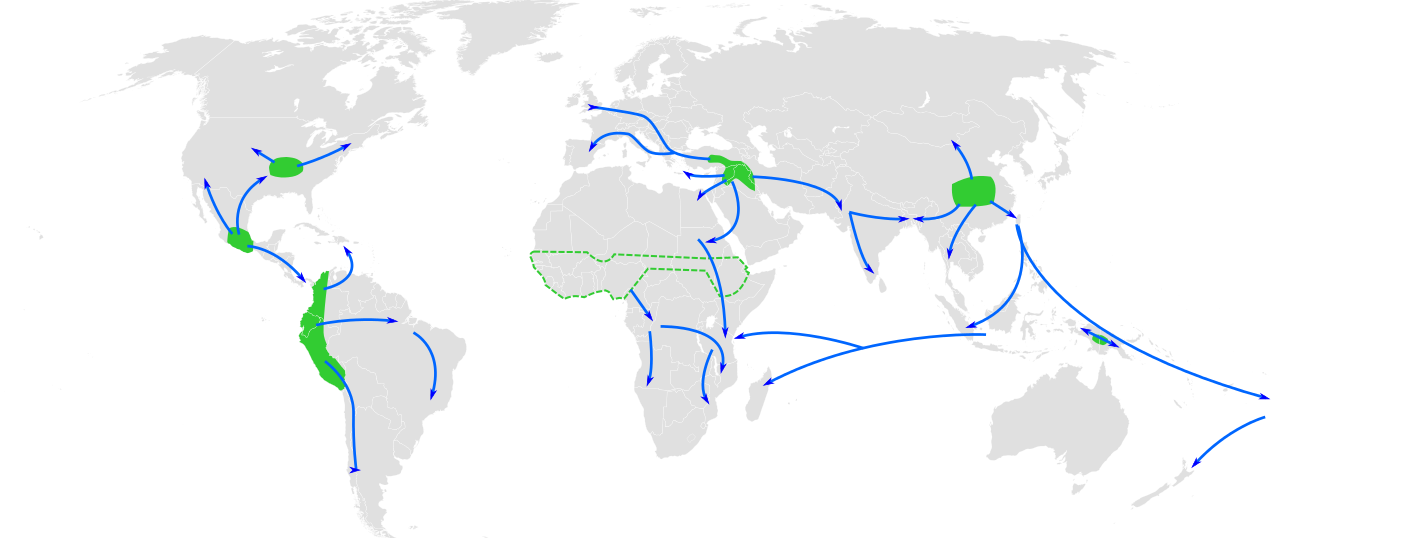 how did geography affect early civilizations