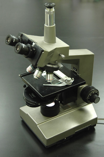 A light microscope, of the sort commonly found in high school and undergraduate biology labs.