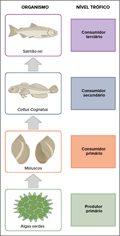 teia alimentar marinha rotulada