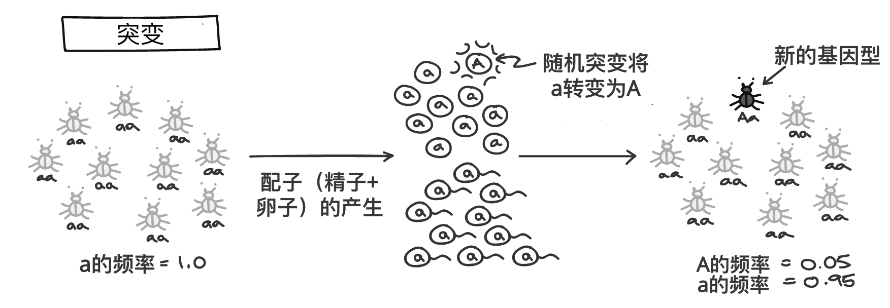 遗传例子