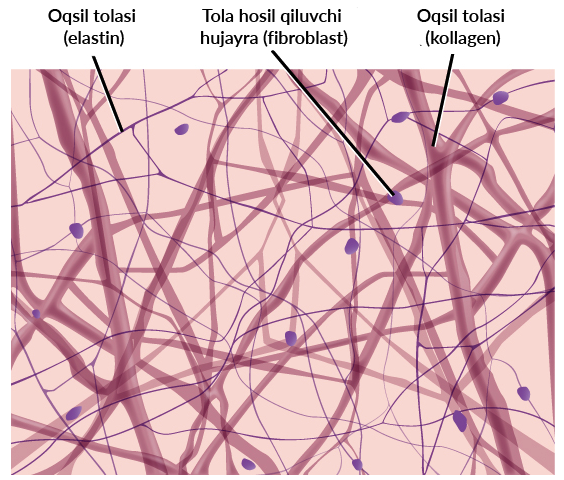 Spermani toqimalardan tozalang