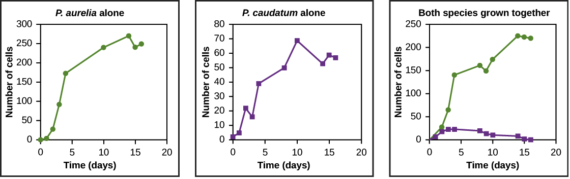 Exploitation Competition