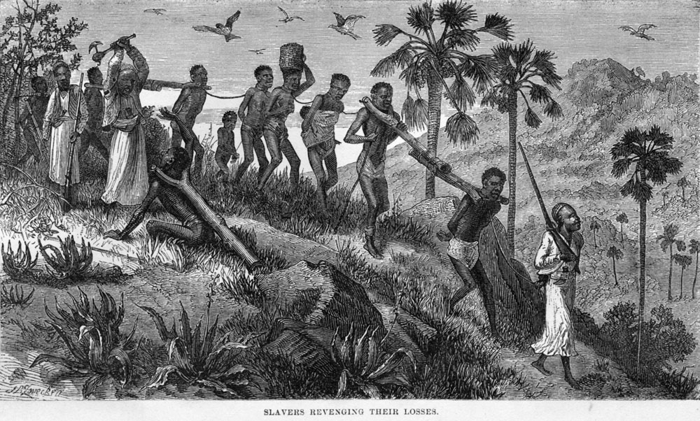 Shaping the New World African Slavery in the Americas 1500-1888