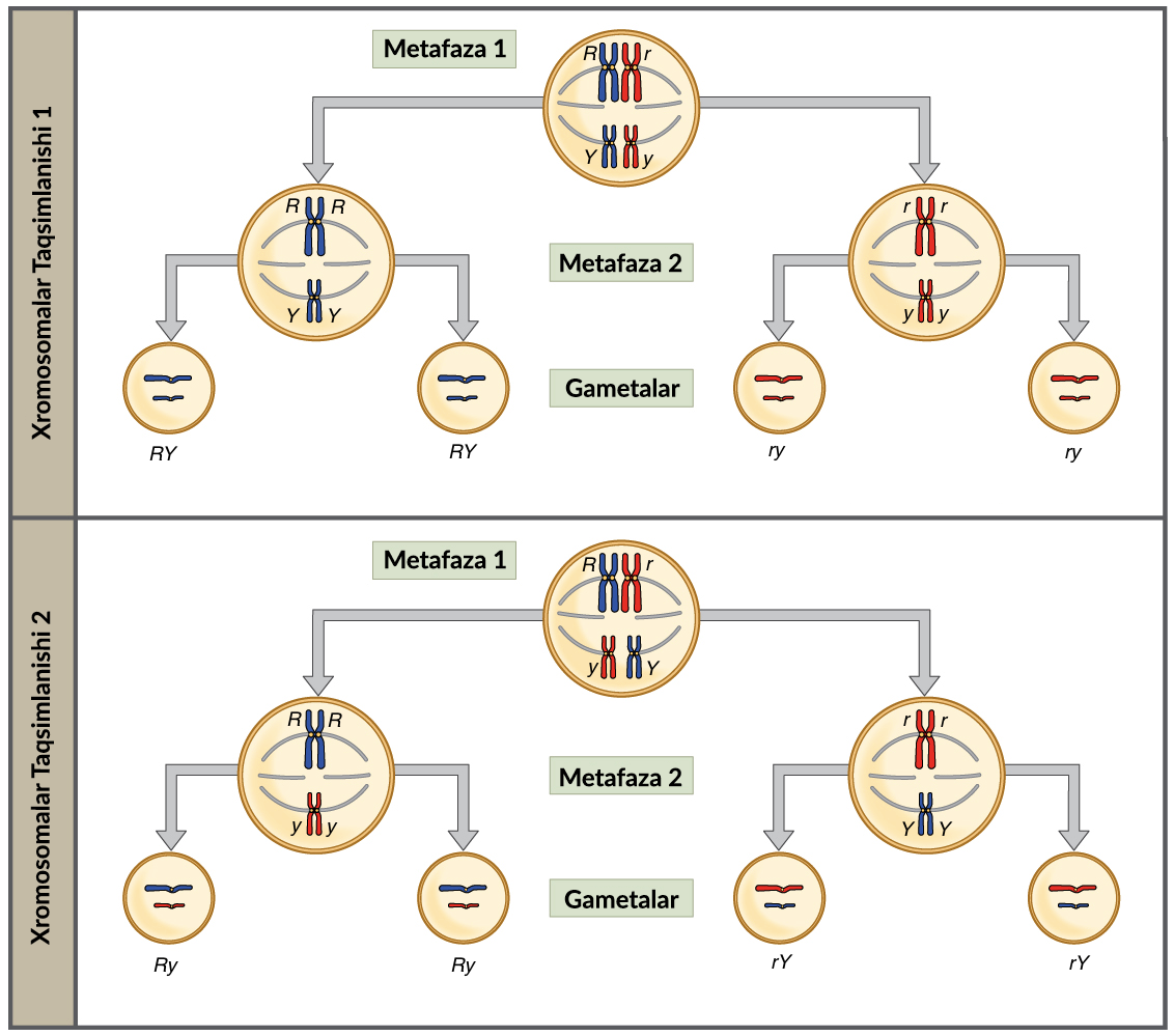 Onamning issiq dosti bilan porno