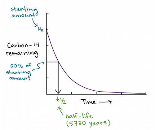 Gráfico de decaimento radioativo do carbono-14. A quantidade de carbono 14 diminui exponencialmente com o tempo. O tempo no qual metade do carbono-14 original decairá — e a outra metade continua a ser carbono-14 — é designado como t 1/2. Esse tempo também é conhecido como a meia-vida do radioisótopo e, para o carbono-14, é igual a 5730 anos.