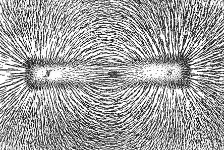 Figure 3: Magnetic field lines around a bar magnet visualized using iron filings.