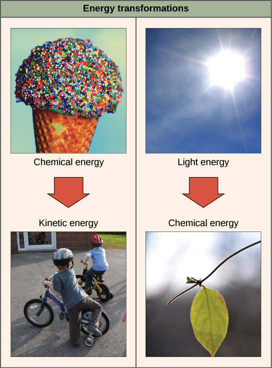 energy transformation examples for middle school