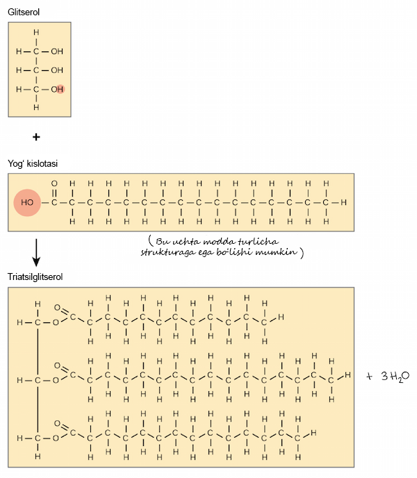 Turmush qurgan ayol pul uchun ozini begonaga berdi.