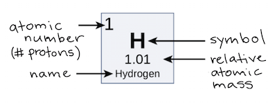 The atomic mass of an element is calculated using the