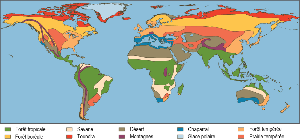 réseau trophique du biome de la toundra