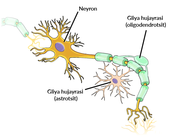Polsha porno yulduzlar Aleksandra Danilovaning kokraklari
