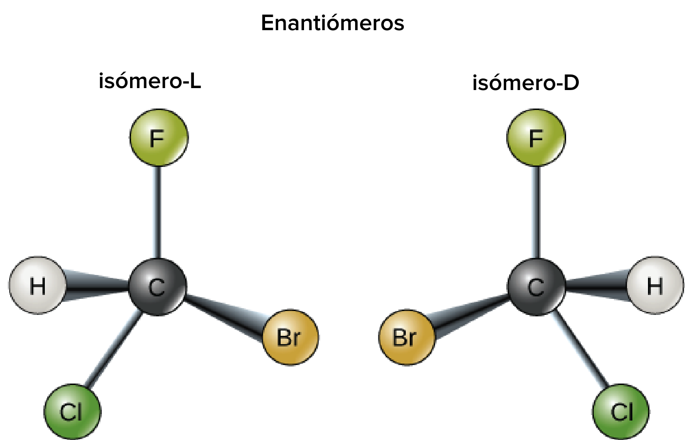 Ejemplos de enantiómeros: dos formas de CHFClBr (con el hidrógeno y los halógenos unidos a un carbono asimétrico central). Ambos son imágenes especulares que no pueden superponerse entre sí.