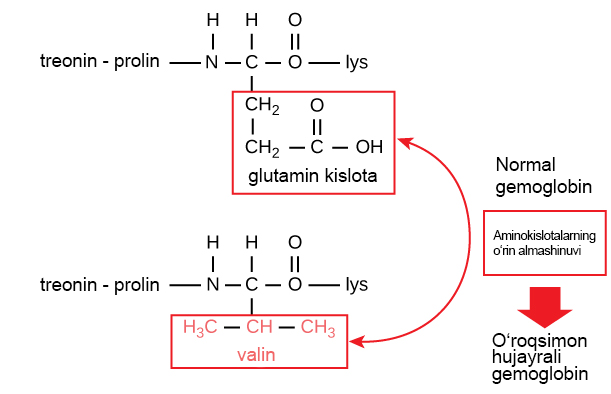 Birinchi sinf oquvchisi oqituvchisi bilan jinsiy aloqada boladi.