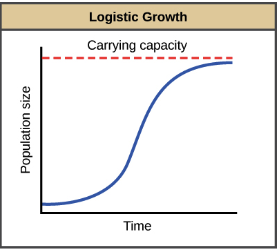 Development in logistics
