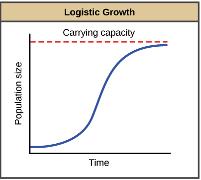 With the help of a suitable diagram, describe the logistic population ...