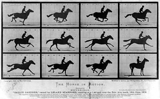 Eadweard Muybridge, The Horse in Motion ("Sallie Gardner," owned by Leland Stanford; running at a 1:40 gait over the Palo Alto track, 19th June 1878)