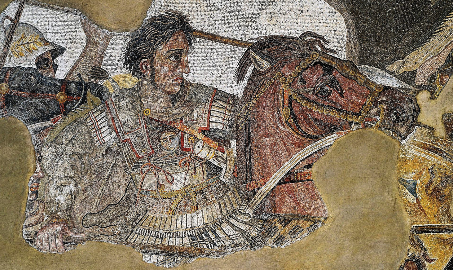 Who Are the Diadochi of Alexander the Great?