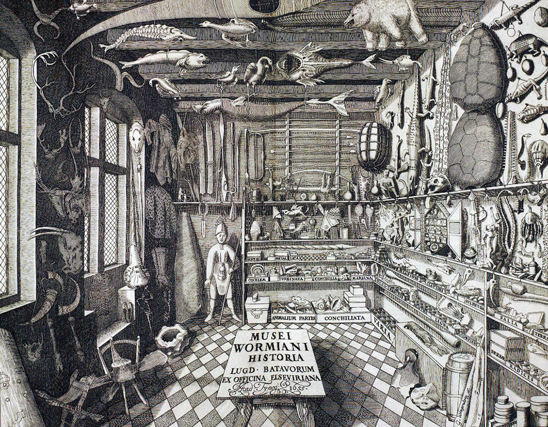 Օլե Վորմի հետաքրքրությունների սենյակի ճակատանկարը, Վորմիանում թանգարանից, 1655  (Սմիթսոնյան գրադարաններ: Օլո Վորմը եղել է դանիացի ֆիզիկոս ու բնական գիտությունների պատմաբան: Նրա հավաքածուն հրատարակվել է նրա մահվանից հետո: 