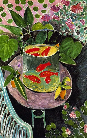 Alert lidelse Parlament Matisse, Goldfish (article) | Khan Academy