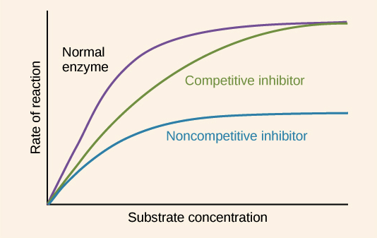 allosteric inhibition graph