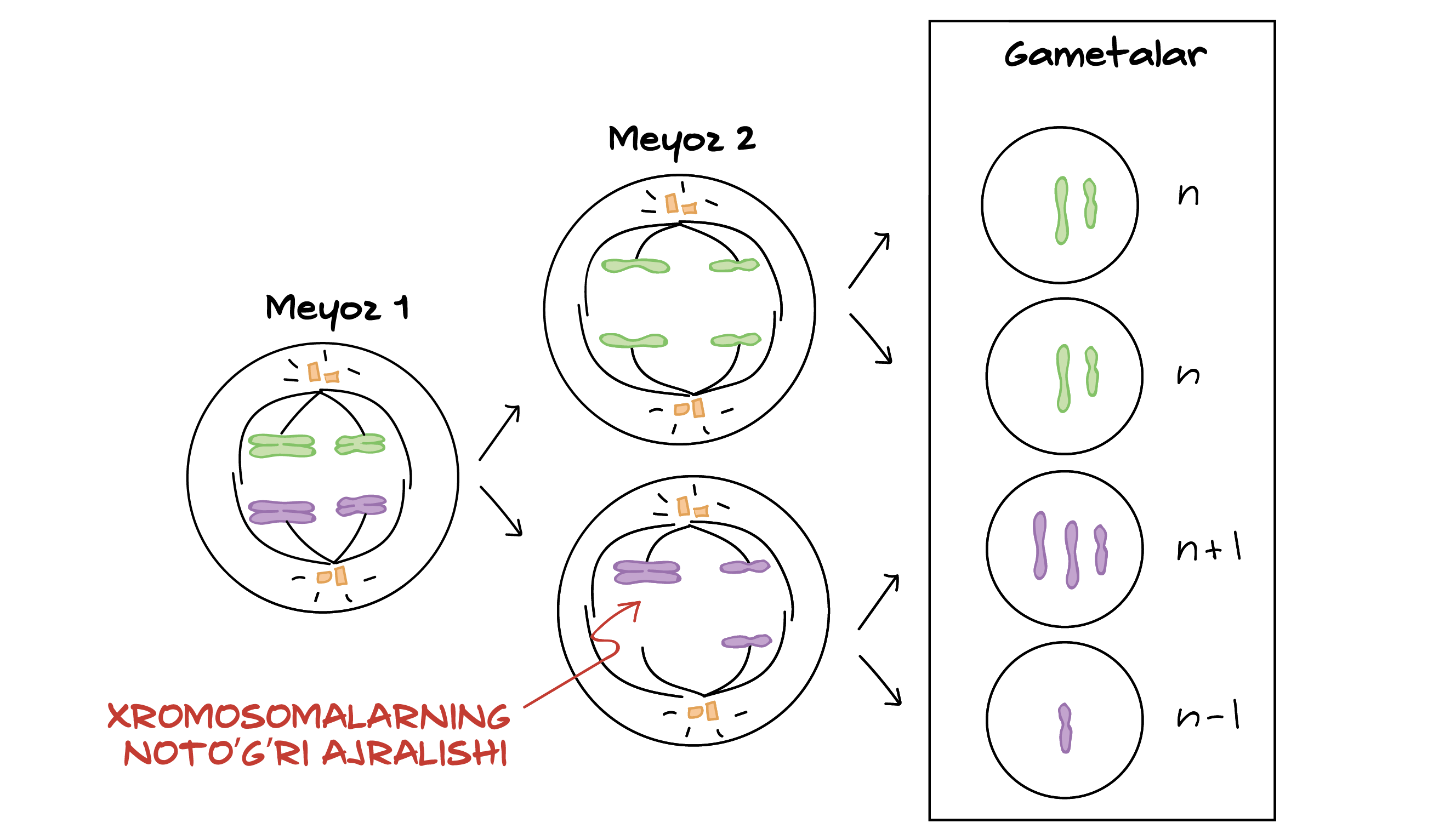 Improvizatsiya qilingan vagina kraxmalni anglatadi