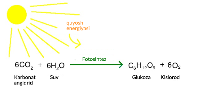 Sarkma kokraklar va kokrak uchlari fotosurati