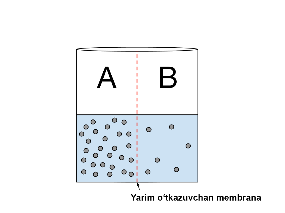 Davlat qollab-quvvatlash tarmoqlarini qurish usullari