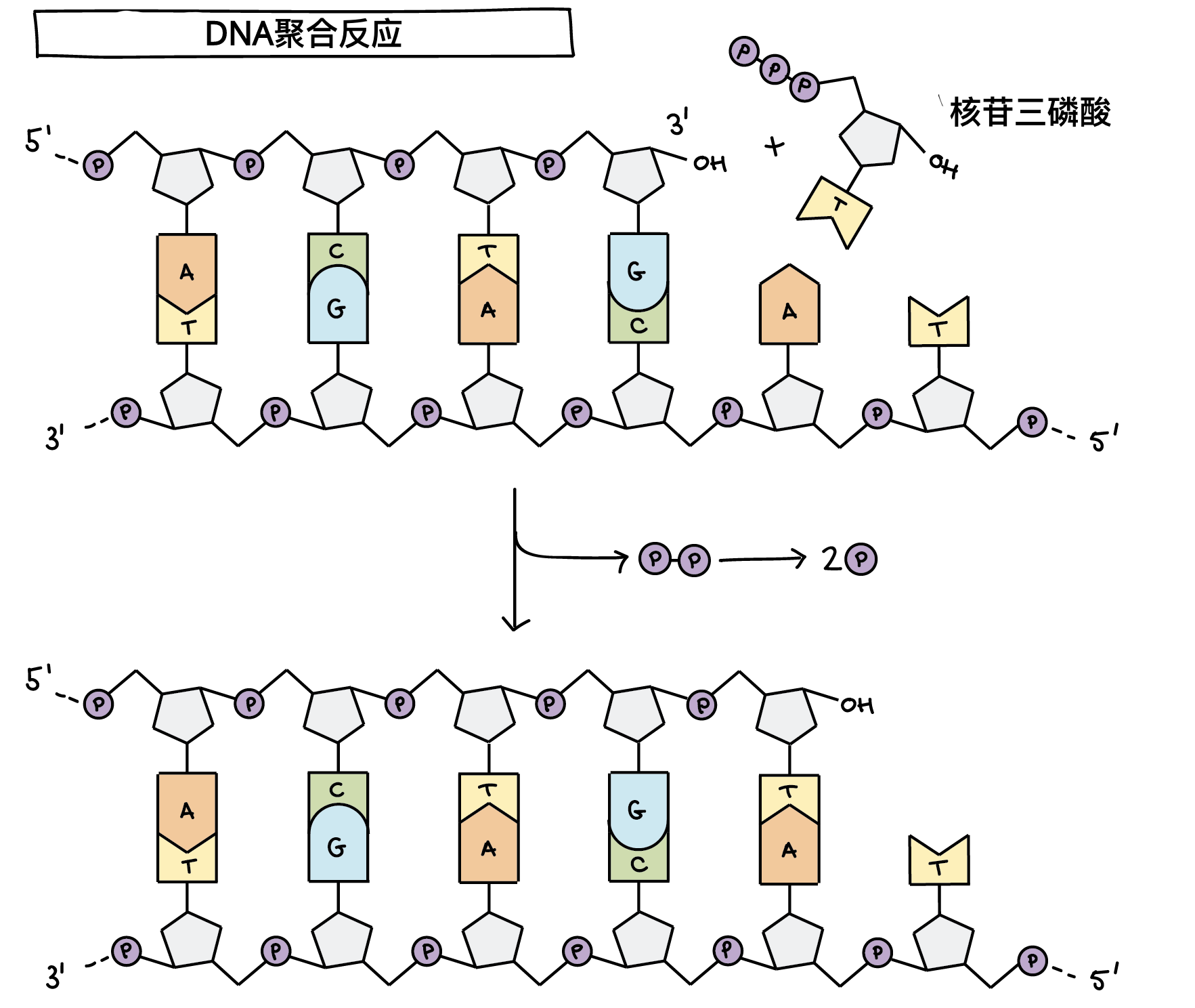 可汗学院
