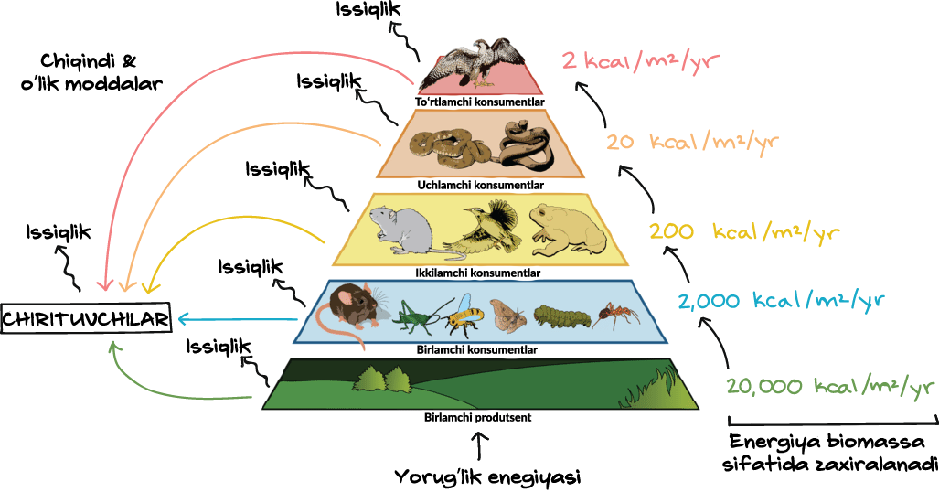 XXX retro porno filmlar
