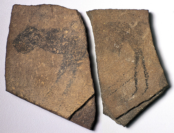 Quartzite slabs depicting animals, Apollo 11 Cave, Namibia. Image courtesy of State Museum of Namibia 
