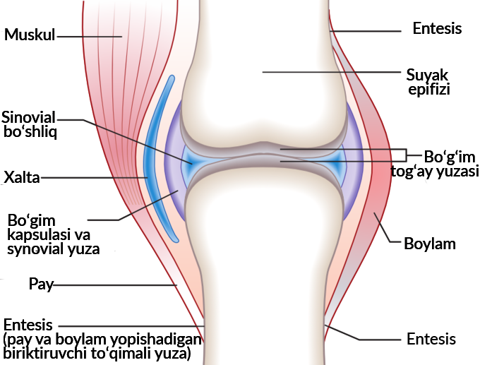 Rus porno onalar Rossiya yulduzlarining pornografik fotosuratlari