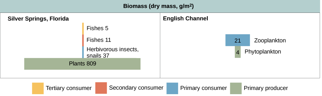 Apes Energy Comparison Chart